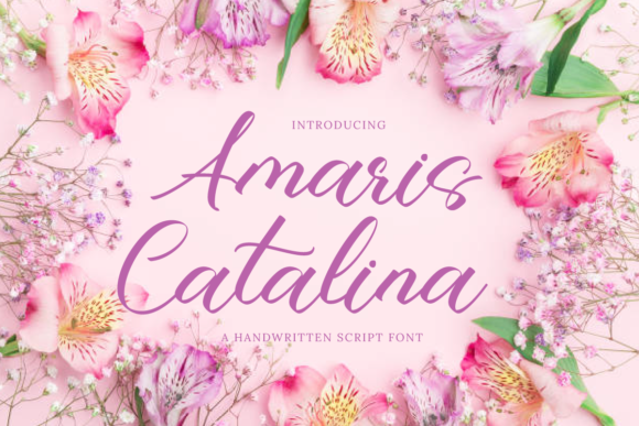 Amaris Catalina: A Flowing Font for Timeless Brand Design