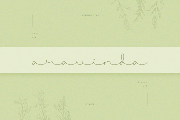 Elevate Your Editorial Design with the Arawinda Handwritten Typeface